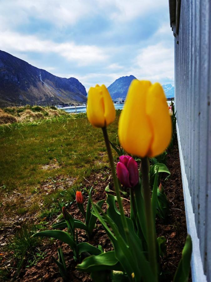 Banpim Beachside Lofoten Ramberg Exteriér fotografie