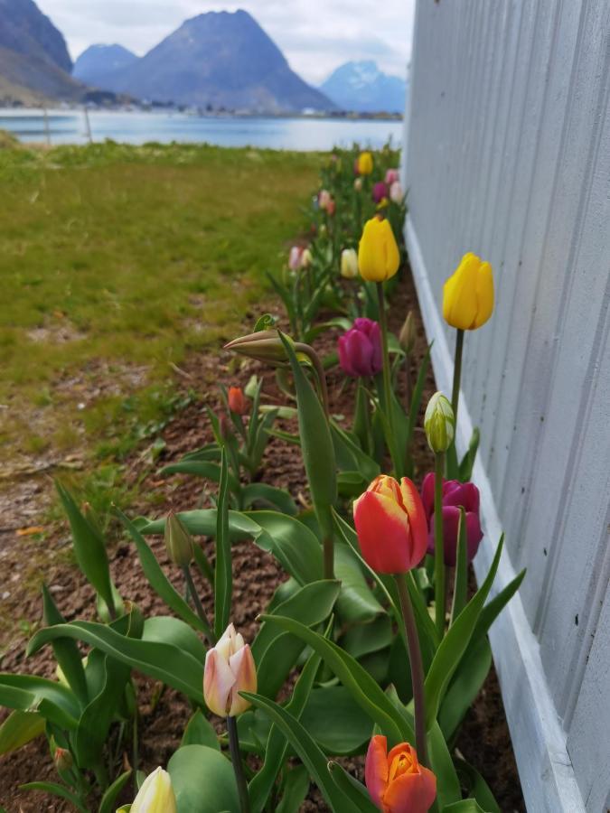 Banpim Beachside Lofoten Ramberg Exteriér fotografie