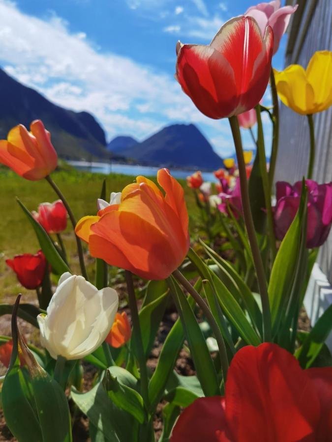 Banpim Beachside Lofoten Ramberg Exteriér fotografie