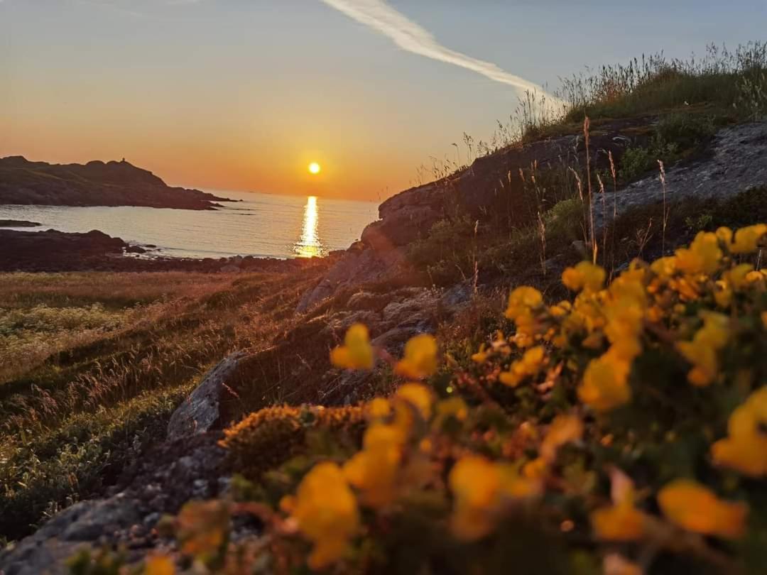 Banpim Beachside Lofoten Ramberg Exteriér fotografie